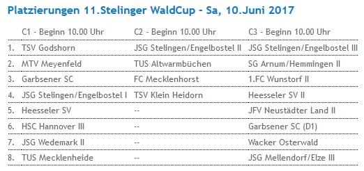 fb_C1_Turnier Stelingen_2017